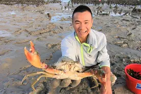 福建小伙，16岁辍学，19岁回村，29岁拍赶海视频爆火，年入百万图片