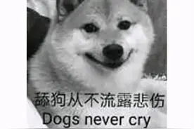 60KB的游戏卖1500元？Steam上的这些奇葩游戏，就不是给人玩的图片