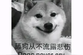 60KB的游戏卖1500元？Steam上的这些奇葩游戏，就不是给人玩的图片