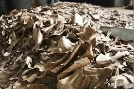 花生麸肥，可能你还真不会沤制，也不会用！难怪效果没别人的好图片