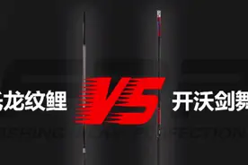 化氏龙纹鲤5.6米VS开沃剑舞鲤5.6米，谁才是性能王（一）图片