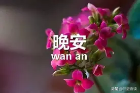晚安心语：珍惜一份情，怀揣一份梦，就是最大的收获图片