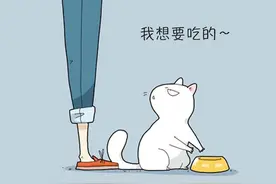 猫为什么要用身体磨蹭你？原来猫的行为里隐藏着不为人知的秘密图片