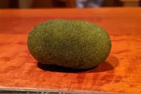 网友们在家里发现的那些奇奇怪怪的东西，你知道都是干嘛用的吗？图片