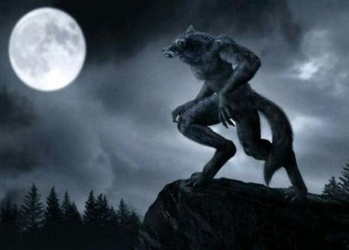 今天推荐五本轻松搞笑脑洞小说，看完解压，欢乐无限，脑洞清奇