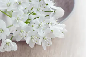 男人对待妻子的态度，就是他真实的人品图片