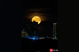 原创组图 | 天涯共此时，十五的月亮十五圆图片