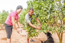 孩子是来报恩还是来讨债的？多为因果图片