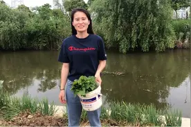 在爸爸指导下，敏姑娘从开垦泥地到种植蕃薯藤，一份耕耘一份收获图片