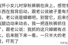 不怕死的老鼠有多大胆？爬进我的裤子里，被我当场解决图片