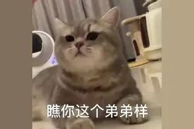 表情包｜迈着六亲不认的步伐图片