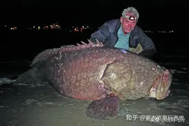 为什么说深湖远比深海更可怕？图片