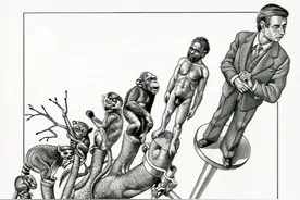 人类的毛毛都有什么用图片