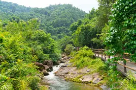 离深圳最近的徒步胜地，藏着深圳最大的瀑布，不要门票图片