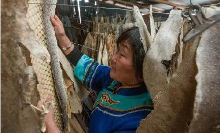 怎样泡发干鱼皮 怎么泡发干鱼皮