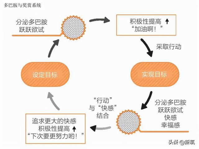 为什么泫雅的身材从来没有崩过？