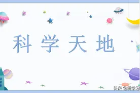 二年级科学第十周第2课时前置自学《制作磁悬浮笔架》图片