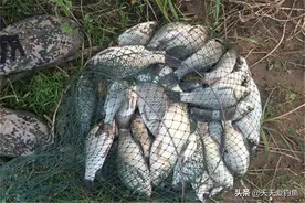 春季钓浅滩，秋季钓边边，秋季钓边从何时开始？钓什么样的边边？图片