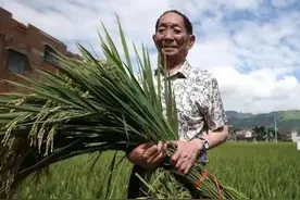 塔克拉玛干沙漠真的能变良田？图片