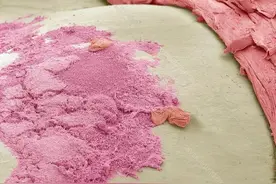 孩子不好好刷牙？家长将这几张"真相图"给孩子看，很管用图片