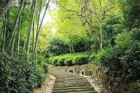 冷门诗人常建：曲径通幽处，禅房花木深图片