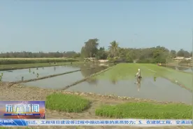 又是一年春种时 东方农民忙春耕图片