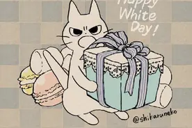 插画 | 奶凶奶凶的小白猫，我好爱呀！你呢？图片