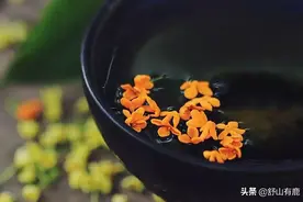 老了才明白，落地哭三声，好坏命生成图片