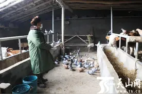 沙雅县：立体养殖成就富美新居图片