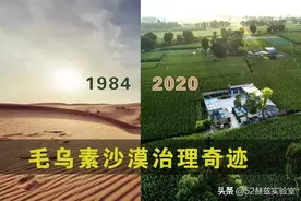 干掉千年沙漠，种出8个韩国，中国人种树到底有多牛？图片