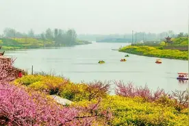 周口市命名95个“六村共建”示范村，看看有你村没？图片