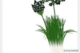 读书笔记-山海经-南山经1（转自0808美食家）图片