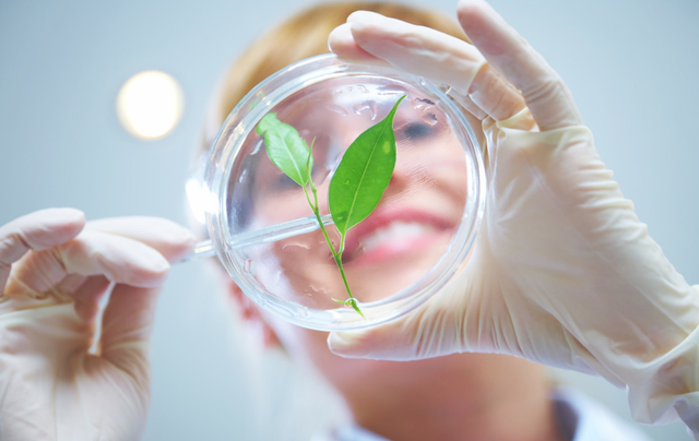 高中生物概念太难记？老师总结成顺口溜，易懂又易记