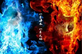 杨金东片区：一半海水一半火焰，一个闺秀一个丫鬟图片