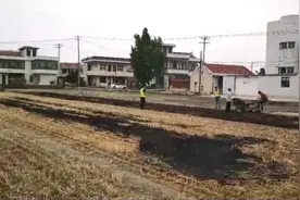 江苏今夏秸秆焚烧“第一把火”在南通！过火面积约800平方米图片