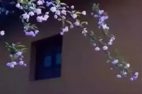 散文：低眉静好，慢煮烟火图片