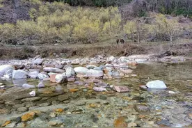 秦岭避暑小县，境内有一堆海拔近3000米的高山，县名很有故事图片