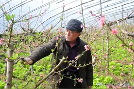 农村63岁大叔下地干活，宁可儿子在家休息也不让他干，啥原因图片