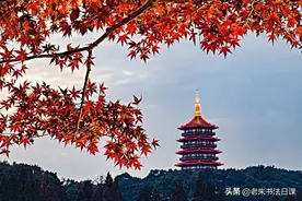 婚前购买的股票，收益属于夫妻共同财产么？图片