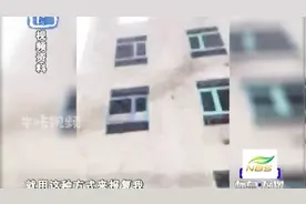 女子刚入职就怀孕，起诉公司被安排到工地上班？网友：自己不厚道视频封面