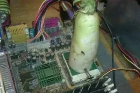 当蹲坑刷手机成为习惯，服务器也开始用你冲屎尿的污水来散热图片