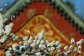 钱穆：中国文化中的中庸之道图片