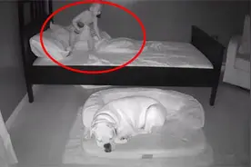 2岁男孩每早醒来都在狗窝，父母查监控后语塞，幸亏不是灵异事件图片