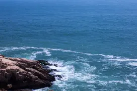 时评：锤炼忠诚干净担当干部队伍要用好“三面镜子”图片