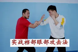 形意拳裆部眼部攻击法2：大人打小孩，摁着对手重心进攻图片