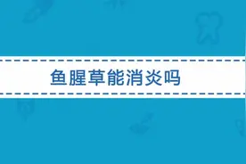 鱼腥草有哪些功效？可以用来治疗哪些疾病？视频封面