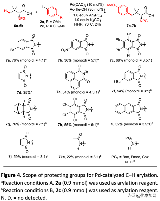 浙大史炳锋课题组Chem. Sci.：合成含大体积侧链的氨基酸和多肽