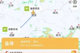 突发！东航一航班机械故障，紧急备降西安图片