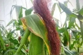 27张让人吃惊的巧合照片，果然奇迹就在身边图片