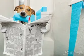 大便太硬，堵在肛门口拉不出？多吃3种“天然泻剂”，大便畅通图片